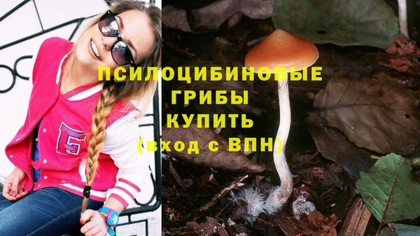 трава Осинники