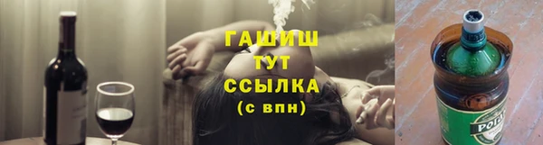 мдпв Осташков