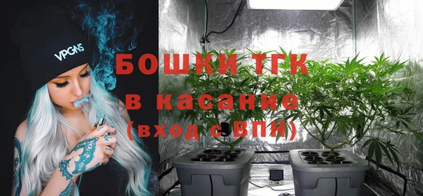 твердый Чекалин