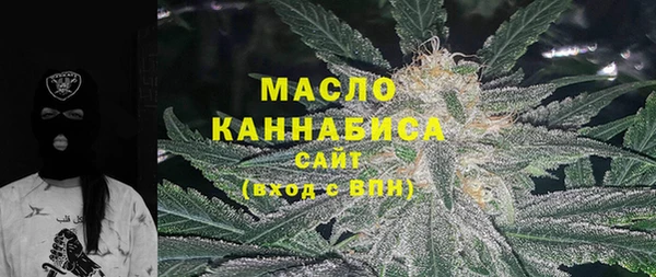 мдпв Осташков