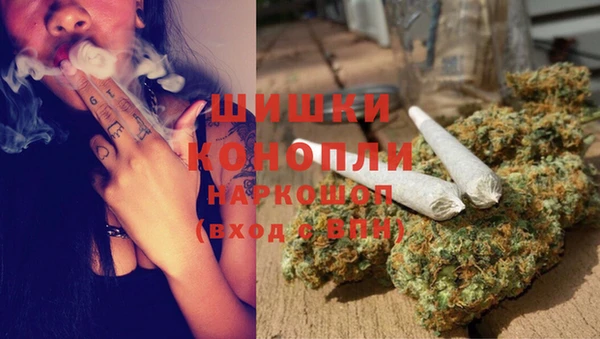 прущая мука Няндома