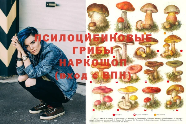 дживик Нязепетровск