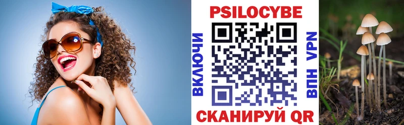 где купить наркоту  Мамоново  Псилоцибиновые грибы прущие грибы 