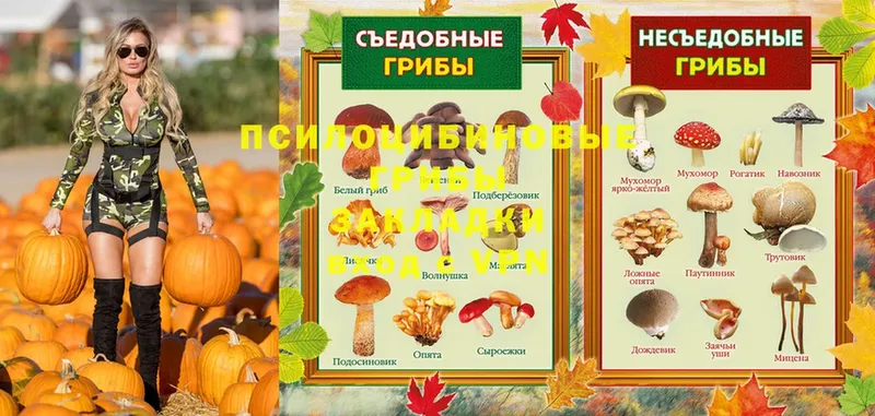 MEGA маркетплейс  Мамоново  Галлюциногенные грибы MAGIC MUSHROOMS  маркетплейс клад  цена наркотик 